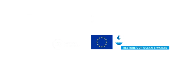 Towards a Global Network of Digital Twins of the Ocean: An international dialogue on visions, expectations, and perspectives on DTOs